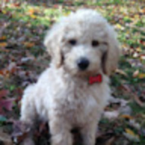 Meet your Posher, Michaela